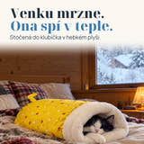 Ilustrační foto: Venku mrzne. Ona spí v teple. Stočená do klubíčka v hebkém plyši.