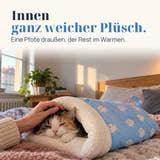 Symbolbild: Innen ganz weicher Plüsch. Eine Pfote draußen, der Rest im Warmen.