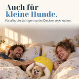 Symbolbild: Auch für kleine Hunde. Für alle, die sich gern unter Decken verkriechen.
