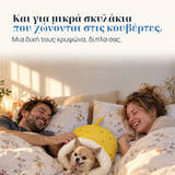 Εικονογράφηση: Και για μικρά σκυλάκια που χώνονται στις κουβέρτες. Μια δική τους κρυψώνα, δίπλα σας.