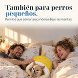 Imagen ilustrativa: También para perros pequeños. Para los que adoran esconderse bajo las mantas.