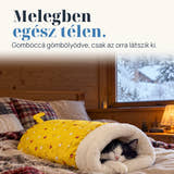 Illusztráció: Melegben egész télen. Gombóccá gömbölyödve, csak az orra látszik ki.