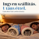Illusztráció: Ingyenes szállítás · Fizetés átvételkor Csak akkor fizet, amikor átveszi.