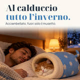 Immagine illustrativa: Al calduccio tutto l’inverno. Acciambellato, fuori solo il musetto.
