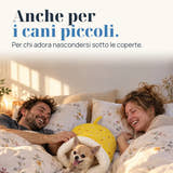 Immagine illustrativa: Anche per i cani piccoli. Per chi adora nascondersi sotto le coperte.