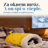 Zdjęcie poglądowe: Za oknem mróz. A on śpi w cieple. Zwinięty w kłębek w miękkim pluszu.