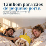 Imagem ilustrativa: Também para cães de pequeno porte. Para os que adoram esconder-se debaixo das mantas.