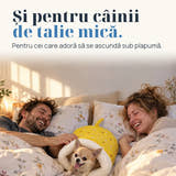 Imagine ilustrativă: Și pentru câinii de talie mică. Pentru cei care adoră să se ascundă sub plapumă.